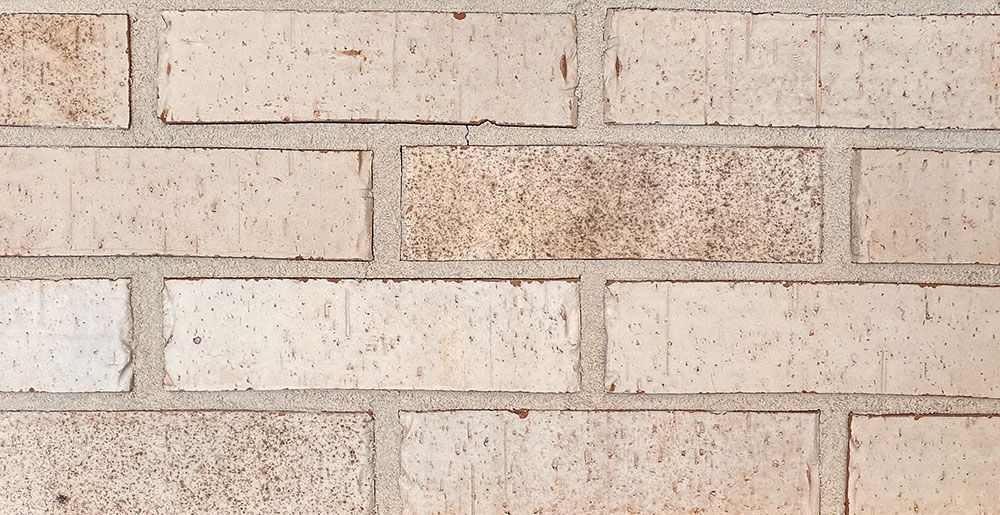 Thin Brick for Sale Brick and Roof Tile Claymex